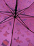 Зонты Antilopa 0000161352
