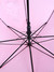 Зонты Antilopa 0000167336